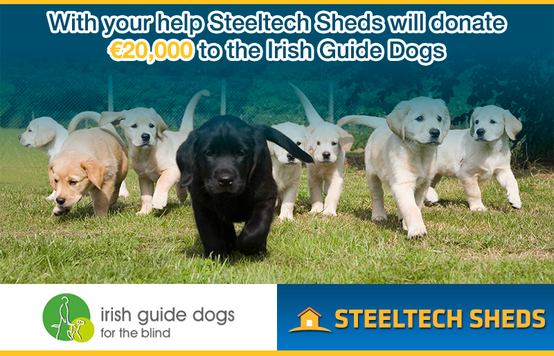 Irish Guide Dogs for the Blind €20000 Donation from Steeltech